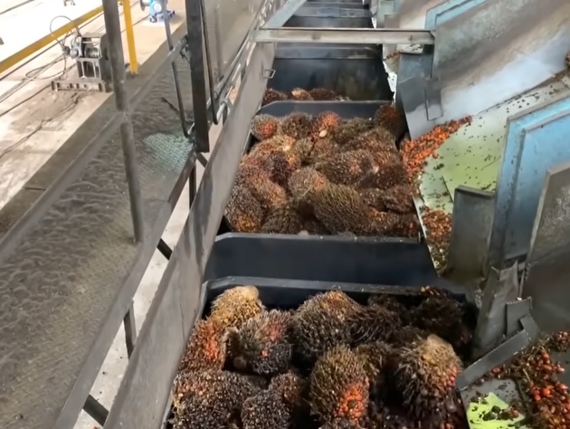 Palm Oil Manufacturers