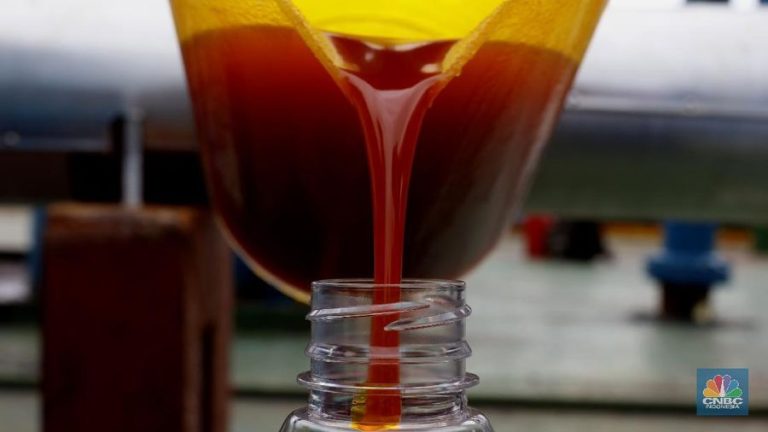 Americans Love Indonesian Palm Oil