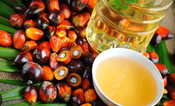 RBD Palm Oil Exporters